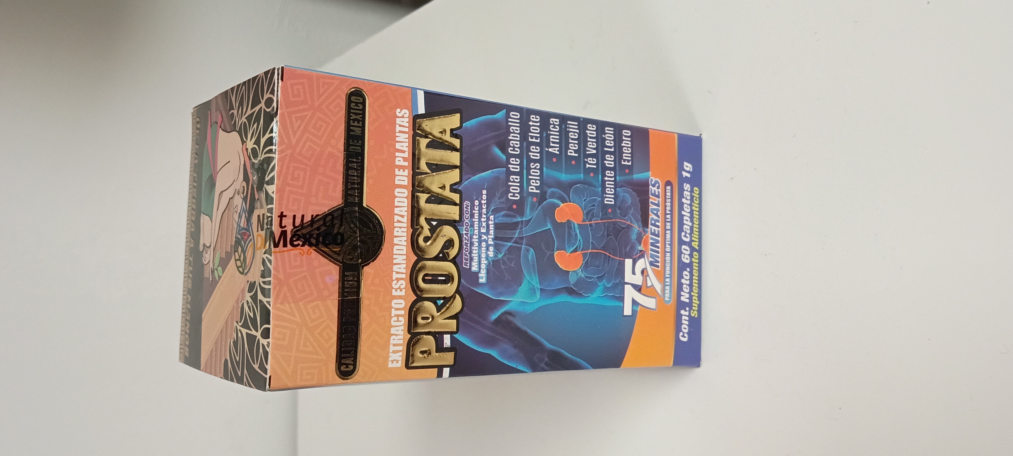 Prostata